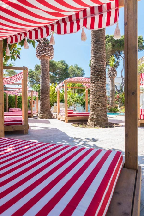 Aparthotel Piccola By Cassai